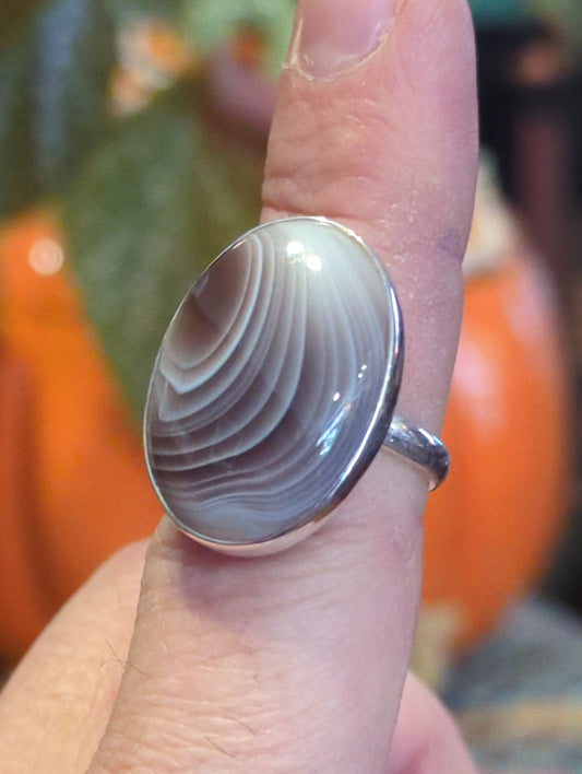 Botswana Agate Silver Ring sz 8